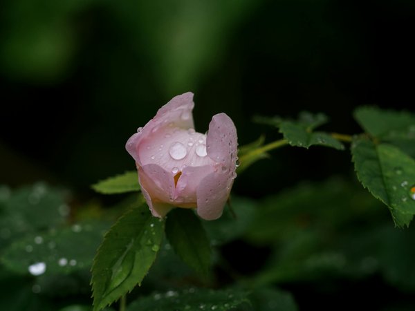 Comment poser un revêtement de piscine ?