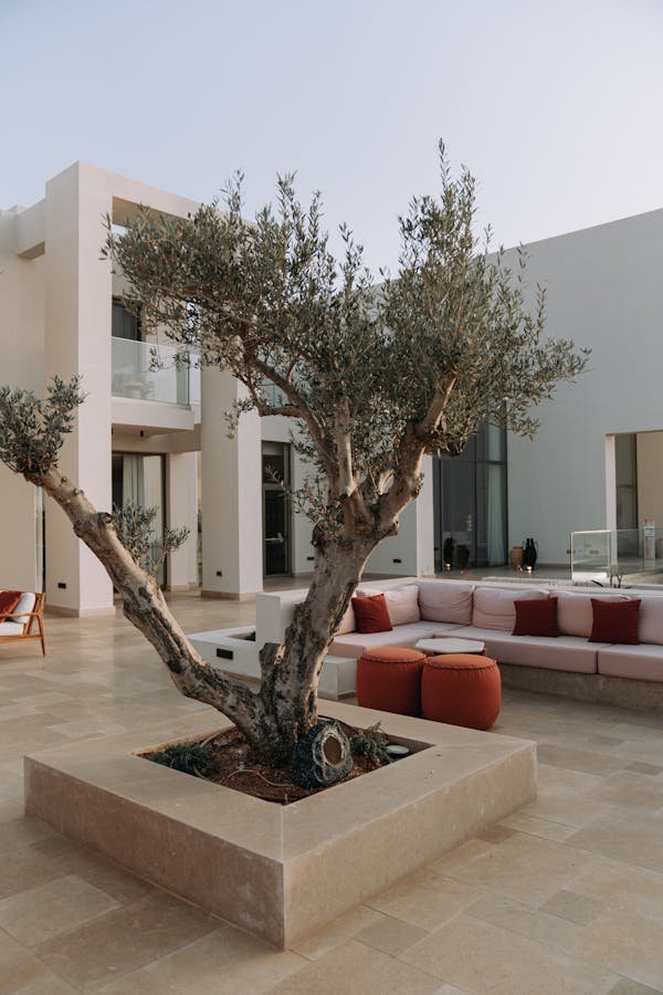 Revêtement cour extérieur pas cher : guide pour un extérieur élégant